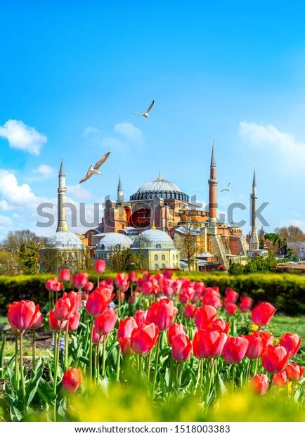 Tulips Istanbul During Tulip Festival Sultanahmet Stock Photo Edit Now