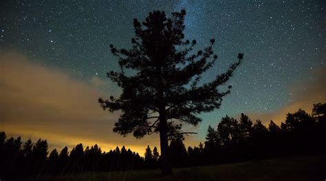 A Time-Lapse with a Twist: The Night Sky in Sync with the Camera