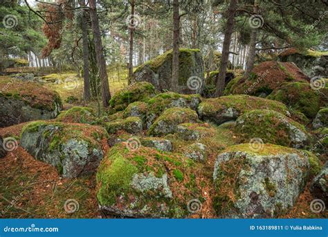 Huge Stones Covered With Green Moss And Lichens Stock Image Image Of