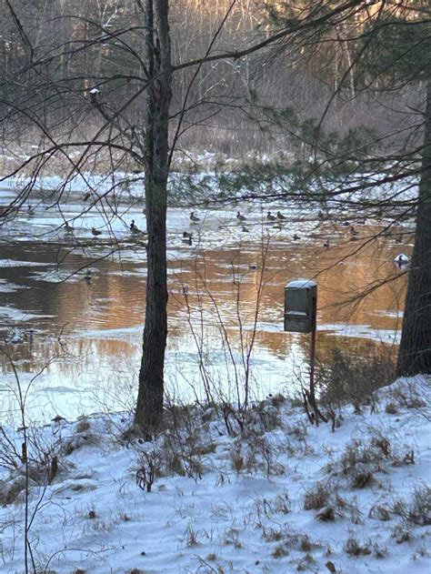 Old Mill Conservation Lands – Harvard Conservation Trust