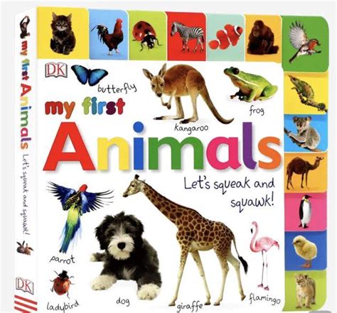 Dk My First Animals Board Book Hobbies And Toys Books And Magazines