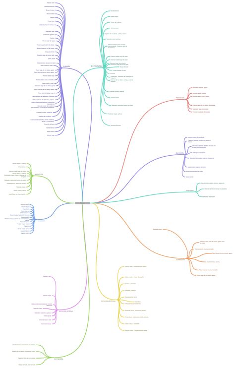 Funciones Coggle Diagram