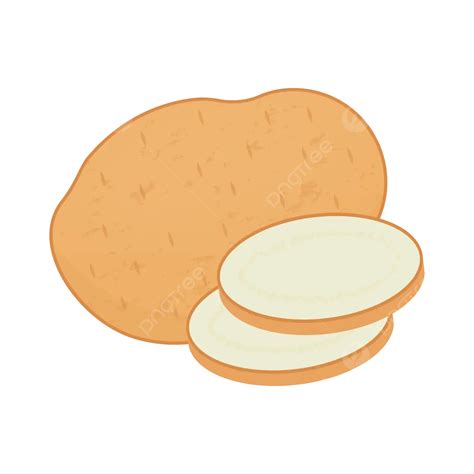 Potato With Slices Vector Illustration Potato Potato Vegetable