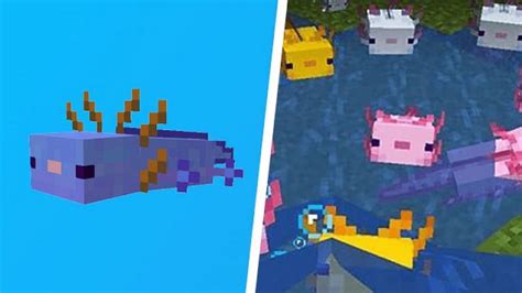 Blue Axolotls In Minecraft 1 17 Caves And Cliffs Update All You Need To Know