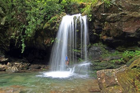 16 Best Hiking Trails near Gatlinburg, TN | PlanetWare