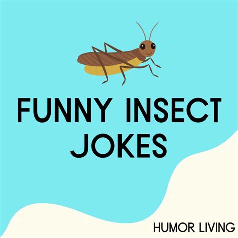 65 Funny Insect Jokes To Bug You With Laughter Humor Living