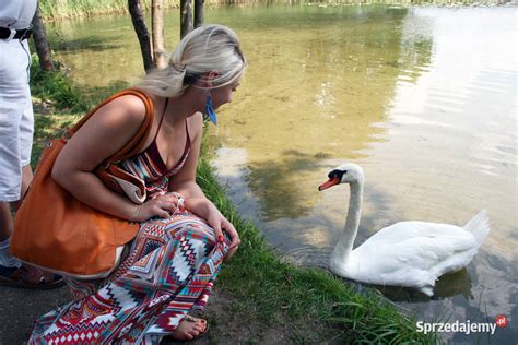 Działka budowlana o pow 9690 m2 z linią brzegową jeziora Dubeninki