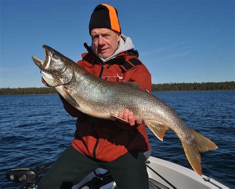 Late Season Lake Superior Lake Trout Dream Trip Fishing Reports In