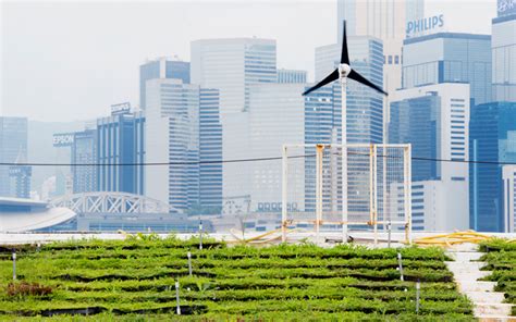 Hsbc International Business Guides Hong Kong Sustainability