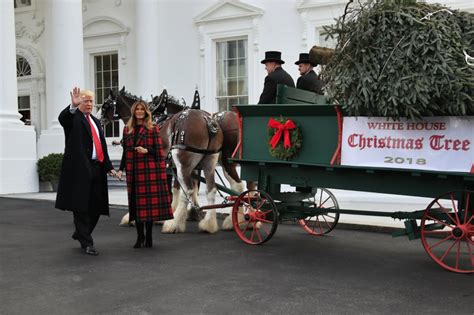 Photos: White House Christmas Trees, Through the Years | US News