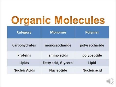 Organic Molecules & Carbohydrates (regular biology) updated | Quizalize