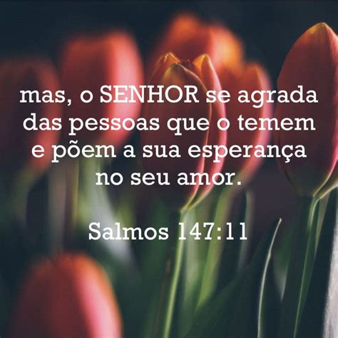 Palavras do SENHOR Palavras do senhor Frases cristãs Palavras