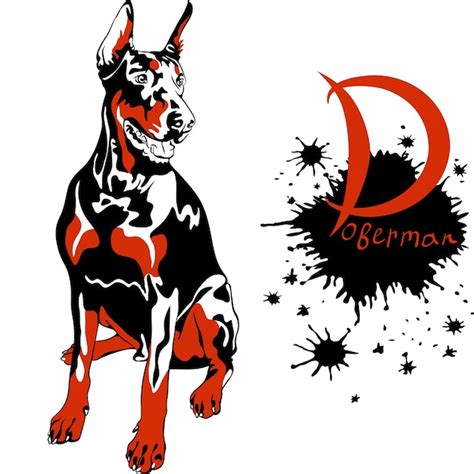 Vector Perro Raza Doberman Pinscher Vector Premium