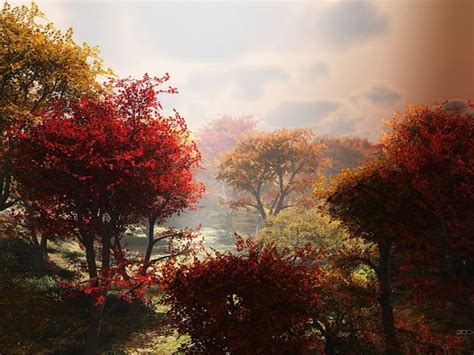 Changing Season Sun Season Bonito Trees Hd Wallpaper Peakpx