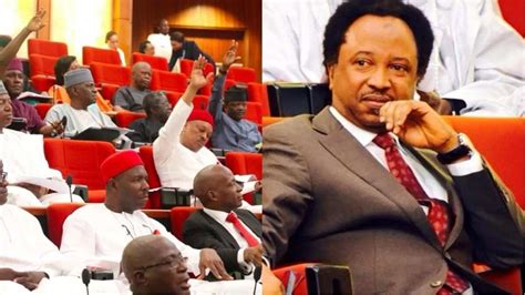 Apart Of From N135m Running Cost Rmafc Reveals Senators Receive N1