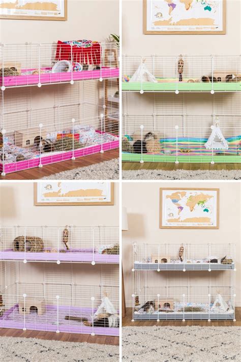 The Best Cages For Guinea Pigs Artofit