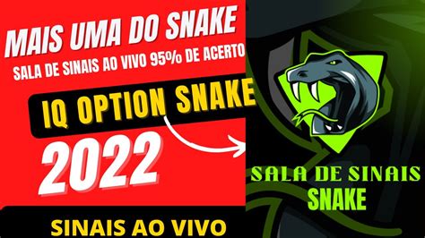 Sala De Sinais Ao Vivo Iq Option E Quotex Youtube