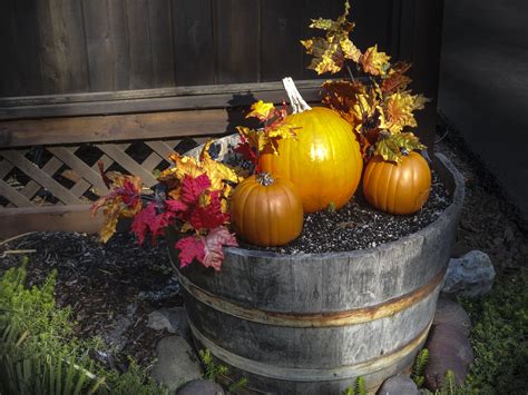 Free Images Decoration Orange Natural Autumn Pumpkin Lighting