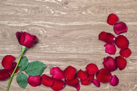 A Rose and Flower Petals Arranged on a Wooden Floor Stock Image - Image ...