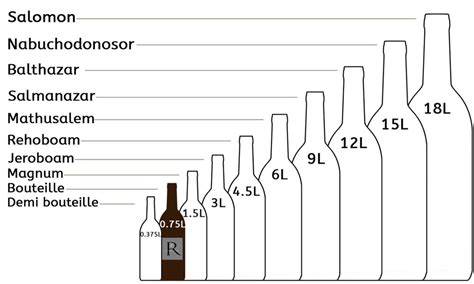 Tout Savoir Sur Les Bouteilles De Vin