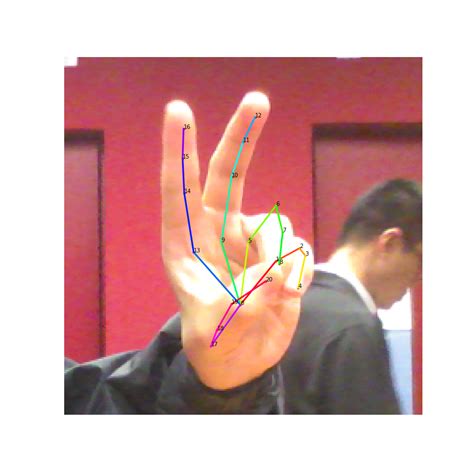 Attention! A Lightweight 2D Hand Pose Estimation Approach | DeepAI