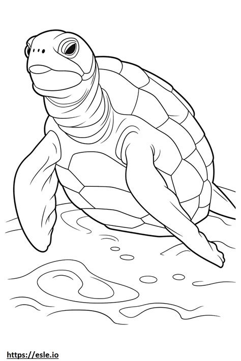 Leatherback Sea Turtle Cute Coloring Page