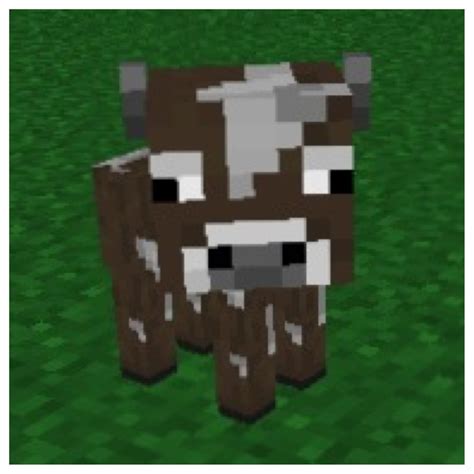 Cutest Baby Cow Ever In Minecraft Epic Minecraft Stuff