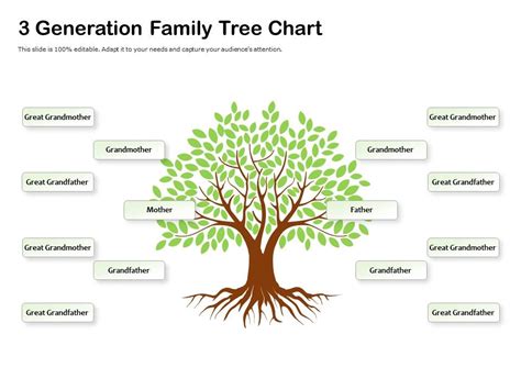 Generation Family Tree Chart