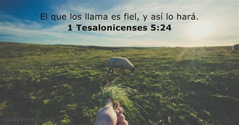 Vers Culos De La Biblia Sobre Fiel Rvr Nvi Dailyverses Net