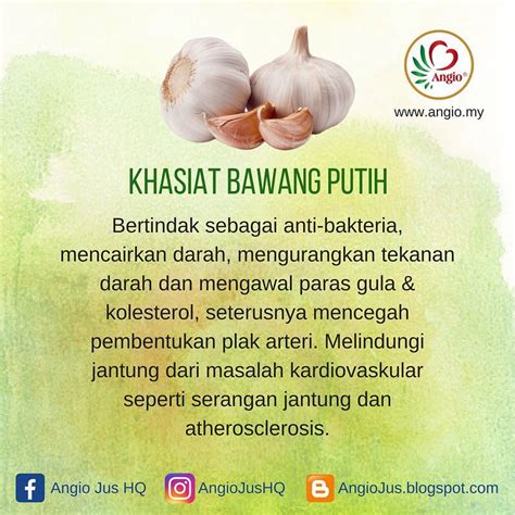 Khasiat Bawang Putih Newstempo