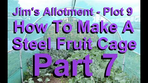 Jim S Allotment Plot 9 How To Build A Fruit Cage Part 7 YouTube