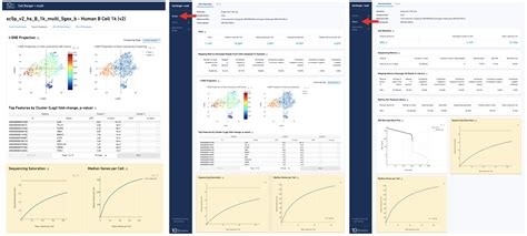 Cell Ranger Web Summary Transition Guidance Software Single Cell