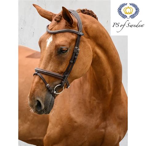 Ps Of Sweden Stockholm Bridle Brown