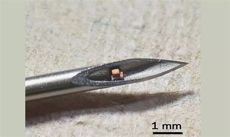 Scientists Have Developed The World S Tiniest Implantable Chip