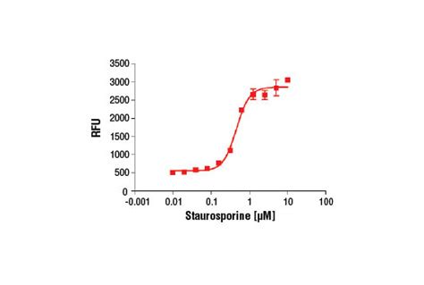 Caspase 3 Activity Assay Kit Cell Signaling Technology