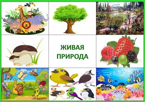 Неживая природа картинки для детей