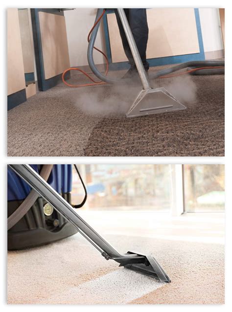 Carpet Cleaning Best Carpet Steam And Dry Cleaning 365 Cleaners