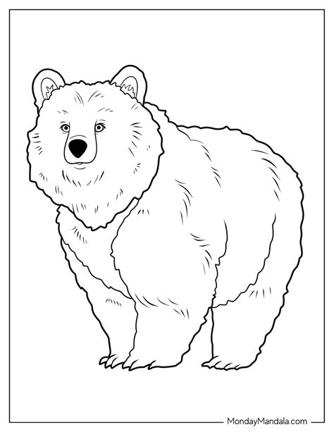 30 Bear Coloring Pages (Free PDF Printables)