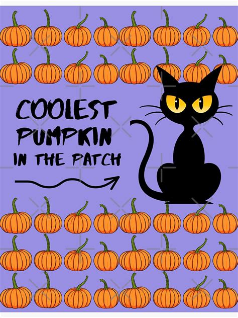 Coolest Pumpkin In The Patch Sticker For Sale By Coolkats Redbubble