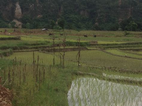 Elevation of Dhading, Nepal - Topographic Map - Altitude Map