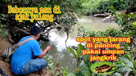 Spot Yang Jarang Di Pancing Orang Babonnya Mau Di Ajak Pulang Pakai