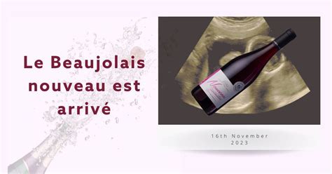 Beaujolais Nouveau 2023: What to expect – Bludge