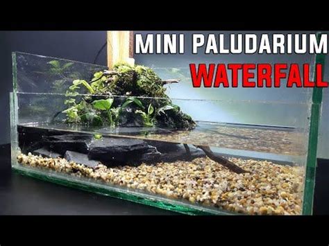 How To Build Mini Paludarium Waterfall Setup Complete Youtube