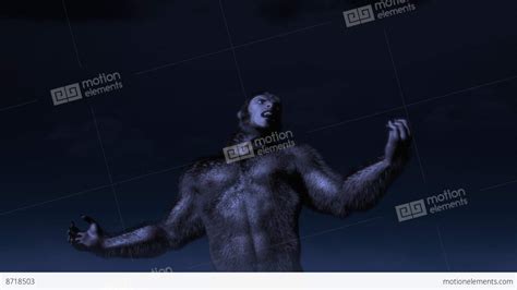 Werewolf Transformation 2 Stock Animation | 8718503