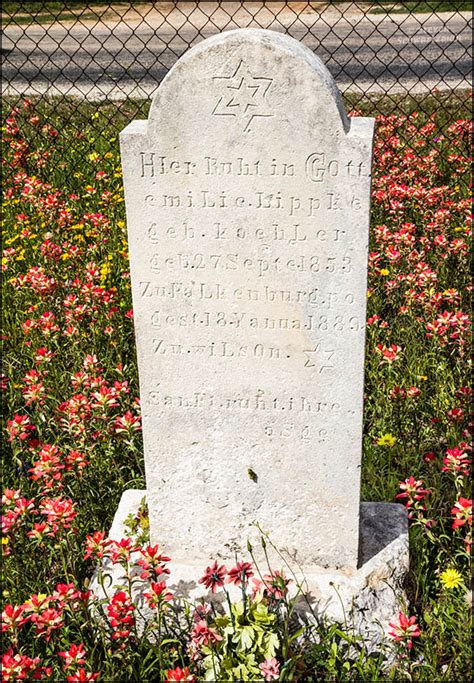 German Tombstones Portraits Of Wildflowers