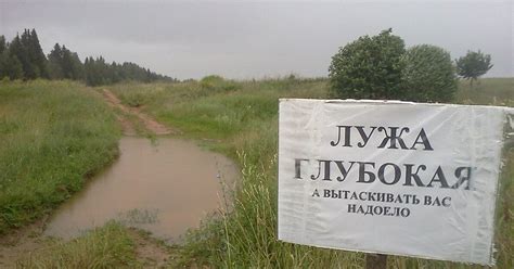 Осенняя лужа | Пикабу