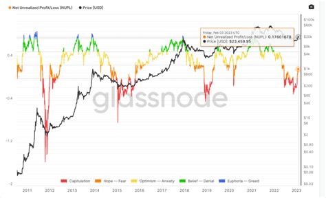 Bitcoin Bull Run Index 2024 Prediction Roxi Aigneis