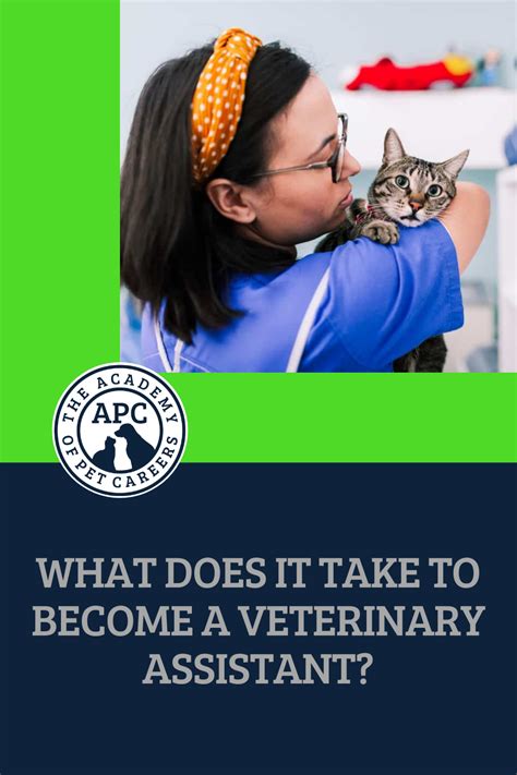 What Does It Take To Become A Veterinary Assistant Work With Animals