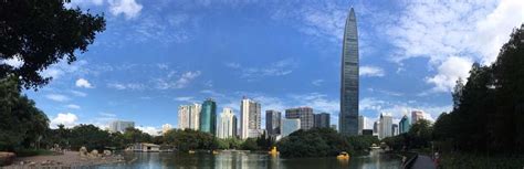 A picture of the skyline in Shenzhen, China - BASIS.ed Vectors