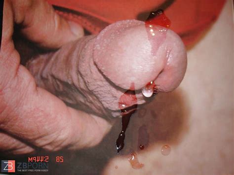 Tribute To A Wifey ZB Porn